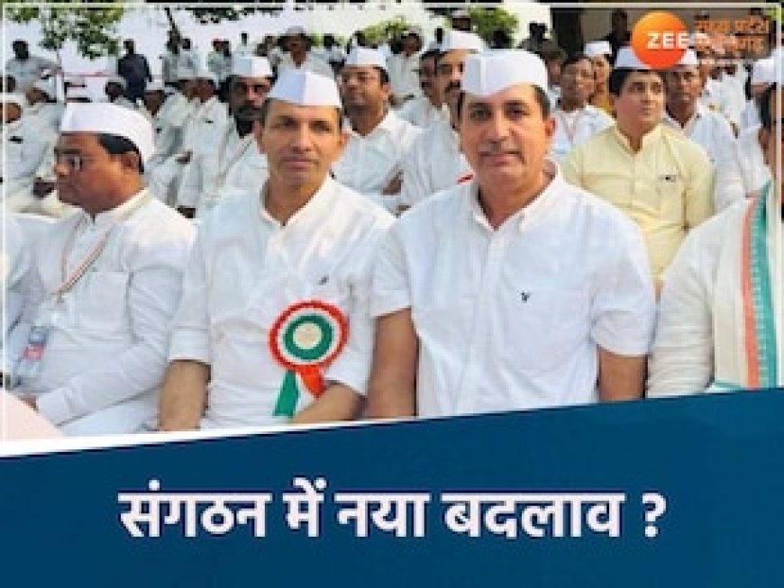 MP में लागू होगा बिहार कांग्रेस का पैटर्न, राहुल गांधी ने दिए संकेत, यहां सबसे ज्यादा फोकस