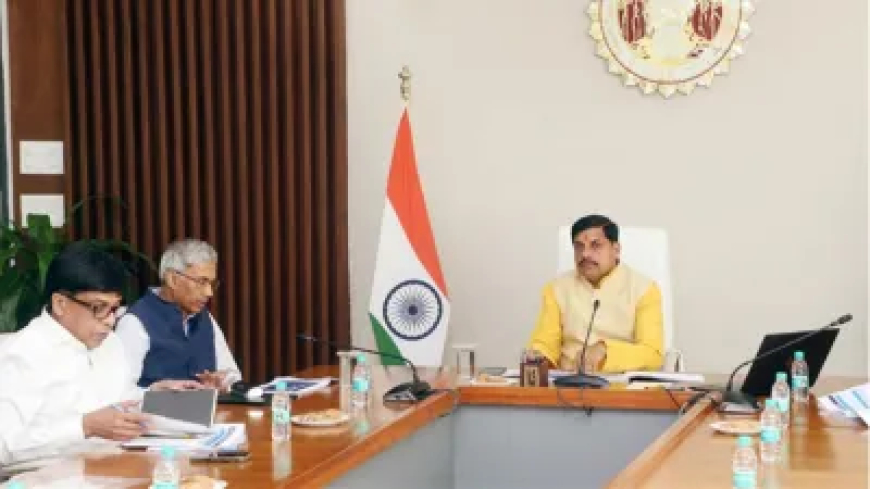 हर परिवार में कम से कम एक व्यक्ति को रोजगार का अवसर उपलब्ध कराएं', CM मोहन यादव का निर्देश