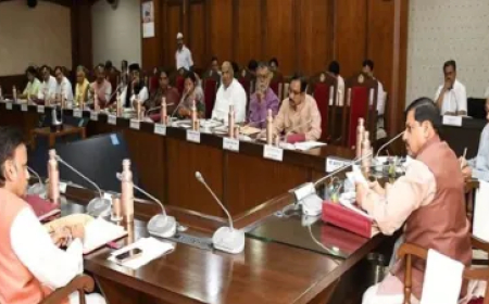 MP कैबिनेट की मीटिंग में हाथी मित्र दल के गठन को मंजूरी, जंगली हाथियों के प्रबंधन के लिए 47 करोड़ की योजना स्वीकृत