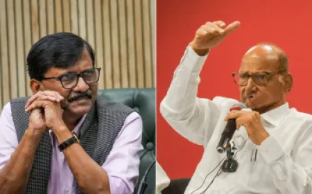 अंतरराष्ट्रीय मुद्दे सामने आते हैं तो...', सर्वदलीय डेलिगेशन को 'बारात' कहने पर शरद पवार ने संजय राउत को लगाई लताड़
