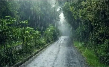 केरल में 8 दिन पहले ही हो गई मॉनसून की एंट्री, साल 2009 में आखिरी बार हुआ था ऐसा