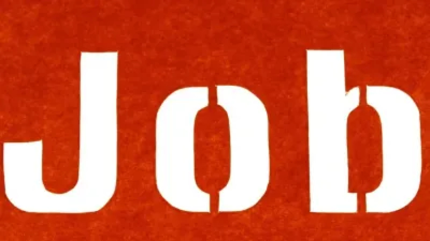 BPSC AE भर्ती: 1000 से अधिक पदों पर वैकेंसी, जानें क्या है सेलेक्शन प्रोसेस