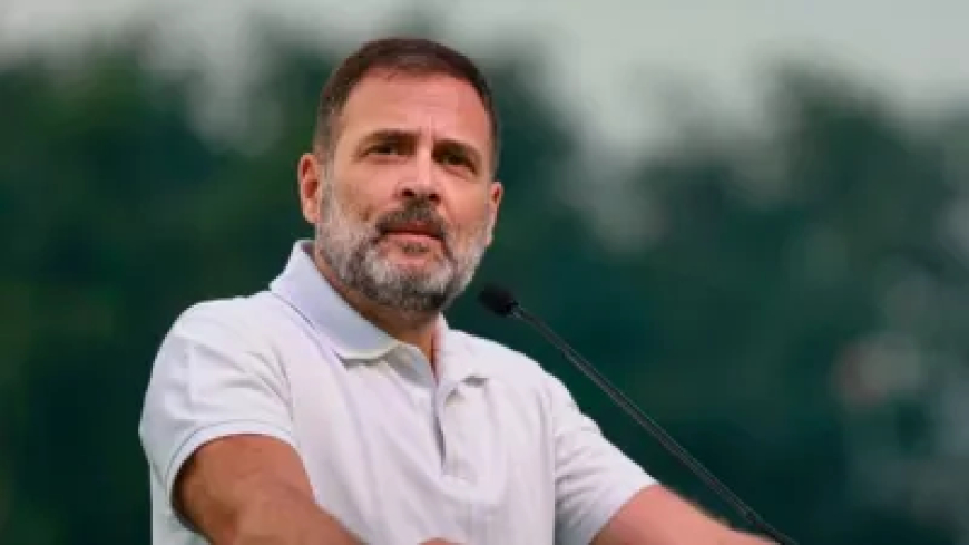 राहुल गांधी की नागरिकता का मामला, हाई कोर्ट ने निस्तारित कर दी याचिका, दिया ये निर्देश