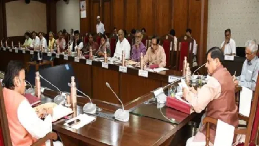 MP कैबिनेट की मीटिंग में हाथी मित्र दल के गठन को मंजूरी, जंगली हाथियों के प्रबंधन के लिए 47 करोड़ की योजना स्वीकृत