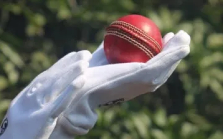 क्रिकेट मैच के दौरान बैट्समैन के सीने में लगी गेंद, अस्पताल में हो गई मौत, जानें पूरा मामला