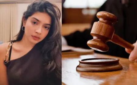 कलकत्ता हाई कोर्ट ने शर्मिष्ठा पनोली को दी अंतरिम जमानत, लेकिन लगा दी कई शर्तें