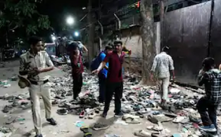 कर्नाटक क्रिकेट एसोसिएशन के अधिकारी के खिलाफ नहीं होगी दंडात्मक कार्रवाई, हाई कोर्ट ने लगाई रोक