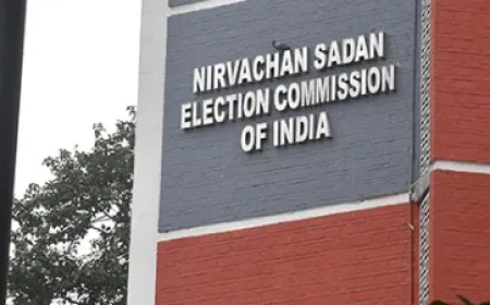 राहुल गांधी ने महाराष्ट्र चुनाव में धांधली का लगाया आरोप, इलेक्शन कमीशन ने दिया जवाब; जानें क्या कहा?