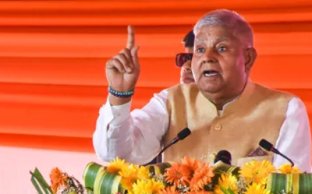 भारत भाषाओं के आधार पर विभाजन बर्दाश्त नहीं कर सकता', उपराष्ट्रपति ने क्यों कही ऐसी बात?
