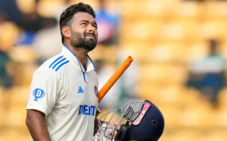 ऋषभ पंत ने आईसीसी रैंकिंग में रच दिया इतिहास, ये काम तो एमएस धोनी भी नहीं कर पाए