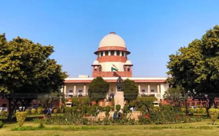 पीड़ित के ब्लड ग्रुप से मिलते-जुलते हथियार की बरामदगी ही हत्या के लिए पर्याप्त नहीं: सुप्रीम कोर्ट