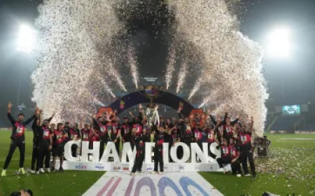 धमाकेदार T20 लीग में शामिल हुईं 2 नई टीमें, इस दिन ऑक्शन में मचेगी IPL सितारों की धूम