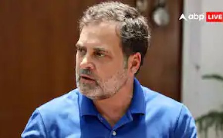 AJL को बेचने नहीं, बचाने की थी मंशा', नेशनल हेराल्ड मामले में राहुल गांधी के वकील की कोर्ट में दलील