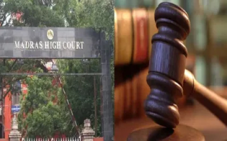 राजनेता राजाओं की तरह कर रहे काम, जैसे उन्हें कोई कुछ नहीं कर सकता,' जानिए कोर्ट ने किस नेता को लगाई फटकार