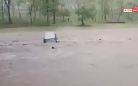 सड़क बनी नदी, तेज बहाव में बह गई कार, शख्स ने कूदकर बचाई जान, देखें खतरनाक वीडियो