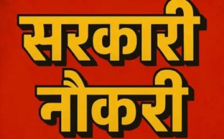 MP में खुला नौकरियों का पिटारा! निकली 13000 से ज्यादा शिक्षक भर्ती; केवल ये कैंडिडेट्स ही कर सकते हैं आवेदन