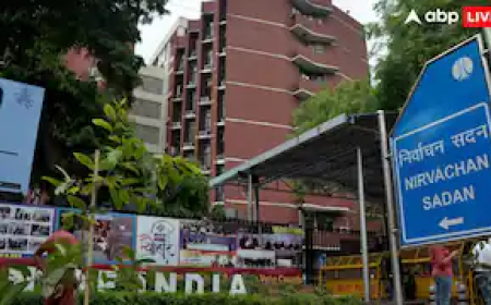 जिस पार्टी के सहारे बनी NDA की सरकार, उसी ने वोटर रिवीजन पर कर दी चुनाव आयोग से बड़ी मांग