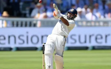 ऋषभ पंत WTC के इतिहास में ऐसा करने वाले बने पहले खिलाड़ी, कई धाकड़ प्लेयर्स भी नहीं कर पाए ये कारनामा