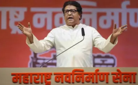 मनसे प्रमुख राज ठाकरे के खिलाफ सुप्रीम कोर्ट में जनहित याचिका दायर, जानें क्या है वजह
