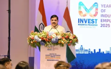 वैश्विक स्तर पर सीएम सीएम मोहन यादव ने खेला मास्टर स्ट्रोक, 10 पॉइंट्स में जानें विदेश यात्रा से क्या हासिल हुआ