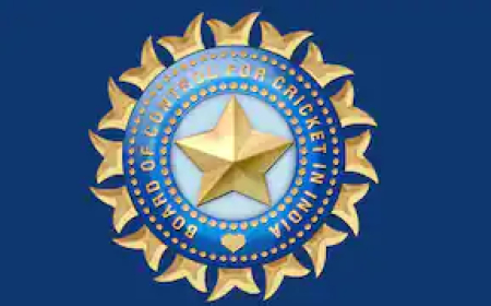 केंद्र सरकार करेगी BCCI को कंट्रोल? क्या है नेशनल स्पोर्ट्स गवर्नेंस बिल 2025, जानिए क्या पड़ेगा असर