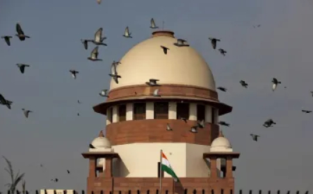 यशवंत वर्मा की याचिका पर सुप्रीम कोर्ट में हुई सुनवाई, अदालत ने किए तीखे सवाल