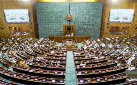 मुझे हिंदी नहीं आती... अगर ये स्वीकार नहीं तो हम यहां से जाने को तैयार', जानिए किस सांसद ने लोकसभा में कही ये बात?