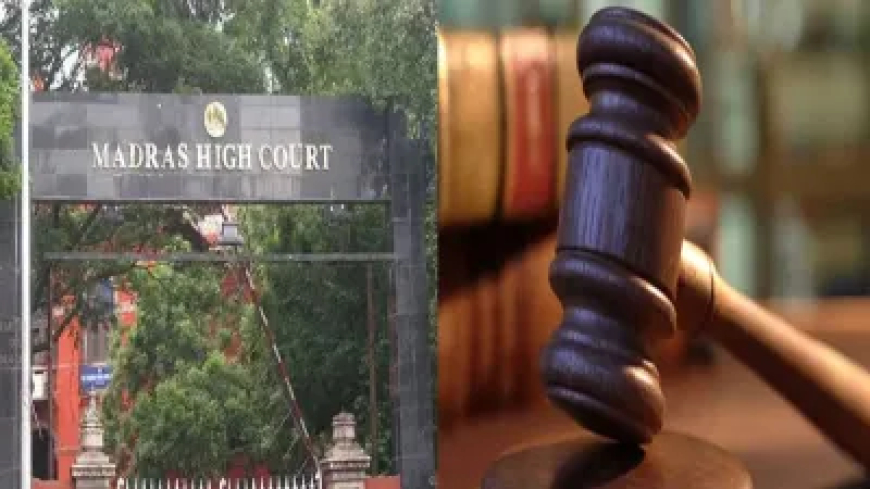 राजनेता राजाओं की तरह कर रहे काम, जैसे उन्हें कोई कुछ नहीं कर सकता,' जानिए कोर्ट ने किस नेता को लगाई फटकार