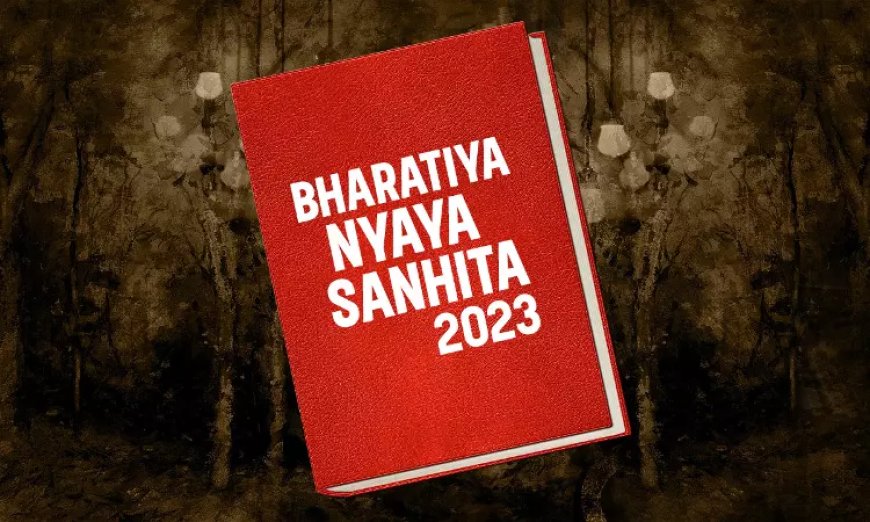 देश के विरुद्ध 'युद्ध छेड़ने' और 'गैर-कानूनी सभा' के अपराधों को BNS से हटाने की मांग वाली याचिका खारिज