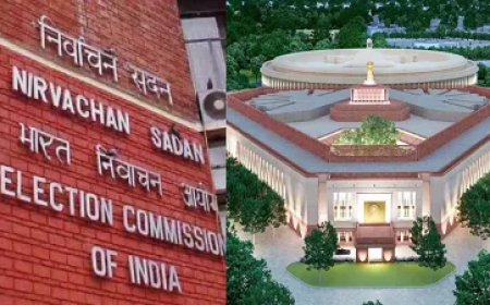 चुनाव आयोग ने जारी की उपराष्ट्रपति चुनाव की अहम तारीखें, कब और कैसे होगी वोटिंग, कब आएगा रिजल्ट? जानें