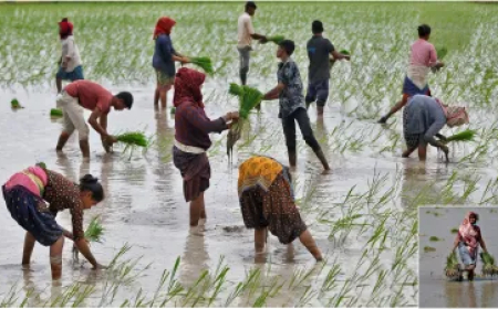 किसानों को बड़ी सौगात: इस राज्य ने आज अपने अन्नदाता के खाते में डाले ₹7000, सालाना मिलेगा 20,000 रुपये