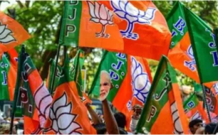 उत्तराखंड के त्रिस्तरीय पंचायत चुनाव में भाजपा की बड़ी जीत, 200 से अधिक सीटों पर बीजेपी और समर्थित उम्मीदवारों ने मारी बाजी