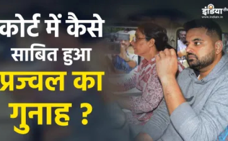 क्या है जेनिटल फीचर मैपिंग, जिसके जरिए कोर्ट में दोषी साबित हुआ प्रज्वल रेवन्ना, भारत में पहली बार हुआ इस्तेमाल