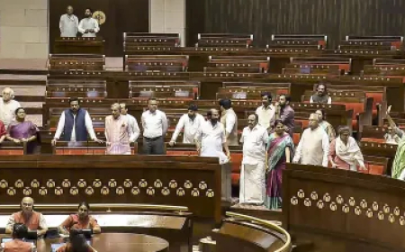 राज्यसभा में हंगामा: सभापति की तरफ जाने वाली सीढ़ियों पर खड़ी हो गईं TMC सांसद, महिला मार्शलों को बुलाना पड़ा
