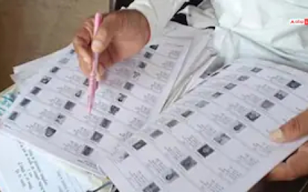 वेबसाइट पर डालें बिहार SIR में छूटे हुए 65 लाख वोटरों के नाम', सुप्रीम कोर्ट का चुनाव आयोग को निर्देश