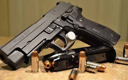 सुनवाई के दौरान व्यक्ति ने मजिस्ट्रेट पर तानी बंदूक, हाईकोर्ट ने आर्म्स लाइसेंस रद्द करने का फैसला रखा बरकरार