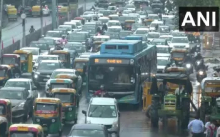 CJI गवई की बड़ी टिप्पणी, 'दो घंटे की बारिश में लकवाग्रस्त हो जाती है दिल्ली', जानें क्यों कहा ऐसा