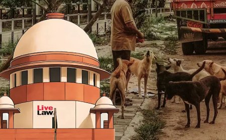 सड़कों और सार्वजनिक स्थानों पर आवारा कुत्तों को खाना खिलाने पर सुप्रीम कोर्ट ने रोक लगाई