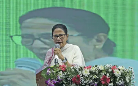 130 वें संविधान संशोधन विधेयक पर TMC का अलग रुख, जेपीसी को बताया तमाशा, शामिल नहीं होगी पार्टी