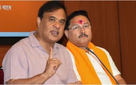 हिमंता बिस्वा सरमा ने धुबरी में जारी किया शूट-एट-साइट का ऑर्डर, बोले- वहां हिंदू अल्पसंख्यक हैं