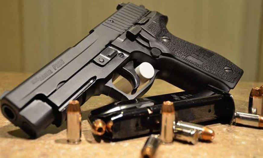 सुनवाई के दौरान व्यक्ति ने मजिस्ट्रेट पर तानी बंदूक, हाईकोर्ट ने आर्म्स लाइसेंस रद्द करने का फैसला रखा बरकरार