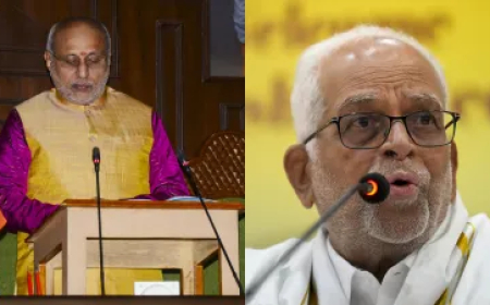 कुर्सी पर बैठते ही उपराष्ट्रपति को कौन-कौन सी पावर मिलती है, कब निभाते हैं दोहरी जिम्मेदारी?