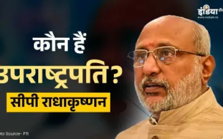 भारत के 15वें उपराष्ट्रपति बने सीपी राधाकृष्णन, 2 बार के हैं सांसद और राज्यपाल, जानिए उनका पूरा राजनीतिक करियर