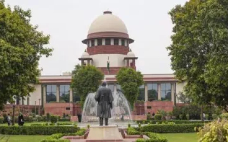 पटाखों पर बैन को लेकर सुप्रीम कोर्ट की बड़ी टिप्पणी, कहा- 'अगर प्रतिबंध लगाना है तो...'