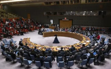 इजरायल ने पाकिस्तान पर किया बड़ा हमला, UNSC में कहा –"लादेन तुम्हारी धरती पर मारा गया था, इसे बदल नहीं सकते"