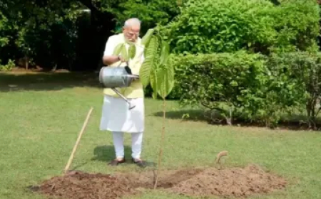 PM मोदी ने अपने आवास पर लगाया कदम्ब का पौधा, किंग चार्ल्स तृतीय ने दिया था गिफ्ट
