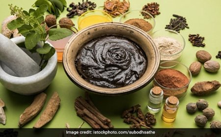 10वें राष्ट्रीय आयुर्वेद दिवस पर CM मोहन की सौगात; MP के सभी जिलों में हेल्पलाइन