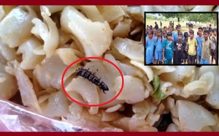 प्लेयर्स के खाने में कीड़े; कैसे फिट रहेंगे खिलाड़ी? खेल प्रतियोगिता में अव्यवस्थाओं की खुली पोल