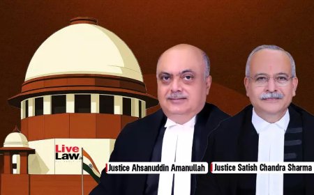 ट्रायल कोर्ट केवल निजी गवाह के हलफनामे के आधार पर चार्जशीट में न उल्लिखित अपराध का संज्ञान नहीं ले सकता: सुप्रीम कोर्ट