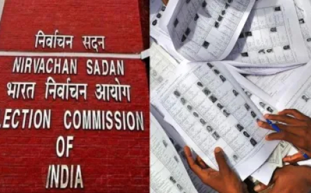 बिहार में SIR के तहत मतदाता सूची जारी, जानें वोटर कैसे चेक कर सकते हैं अपना नाम